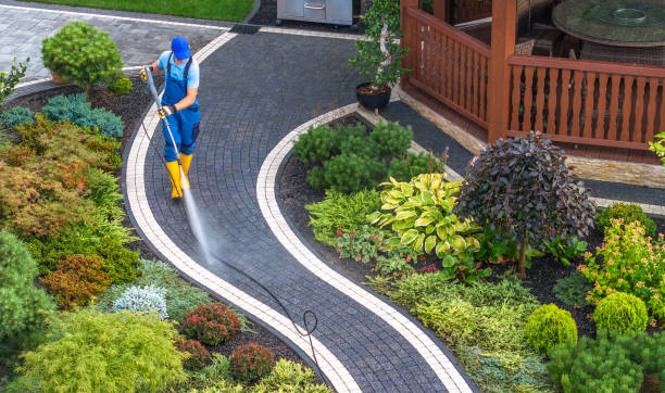 Best Pressure Washing Contractors  in Olathe, CO