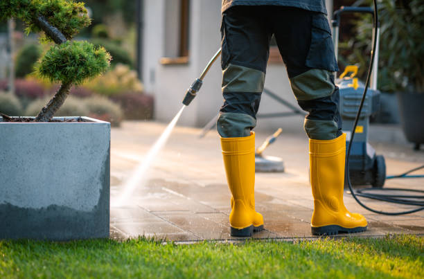 Best Pressure Washing Near Me  in Olathe, CO